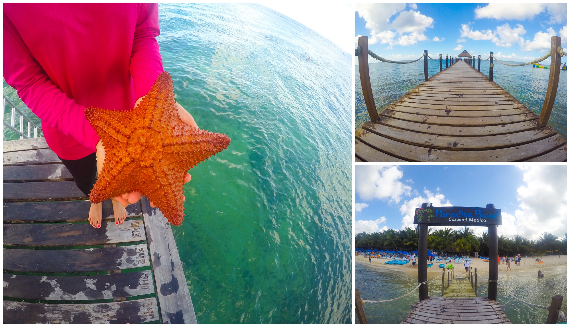 Cozumel, Mexico | Mariam Saifan Photography 