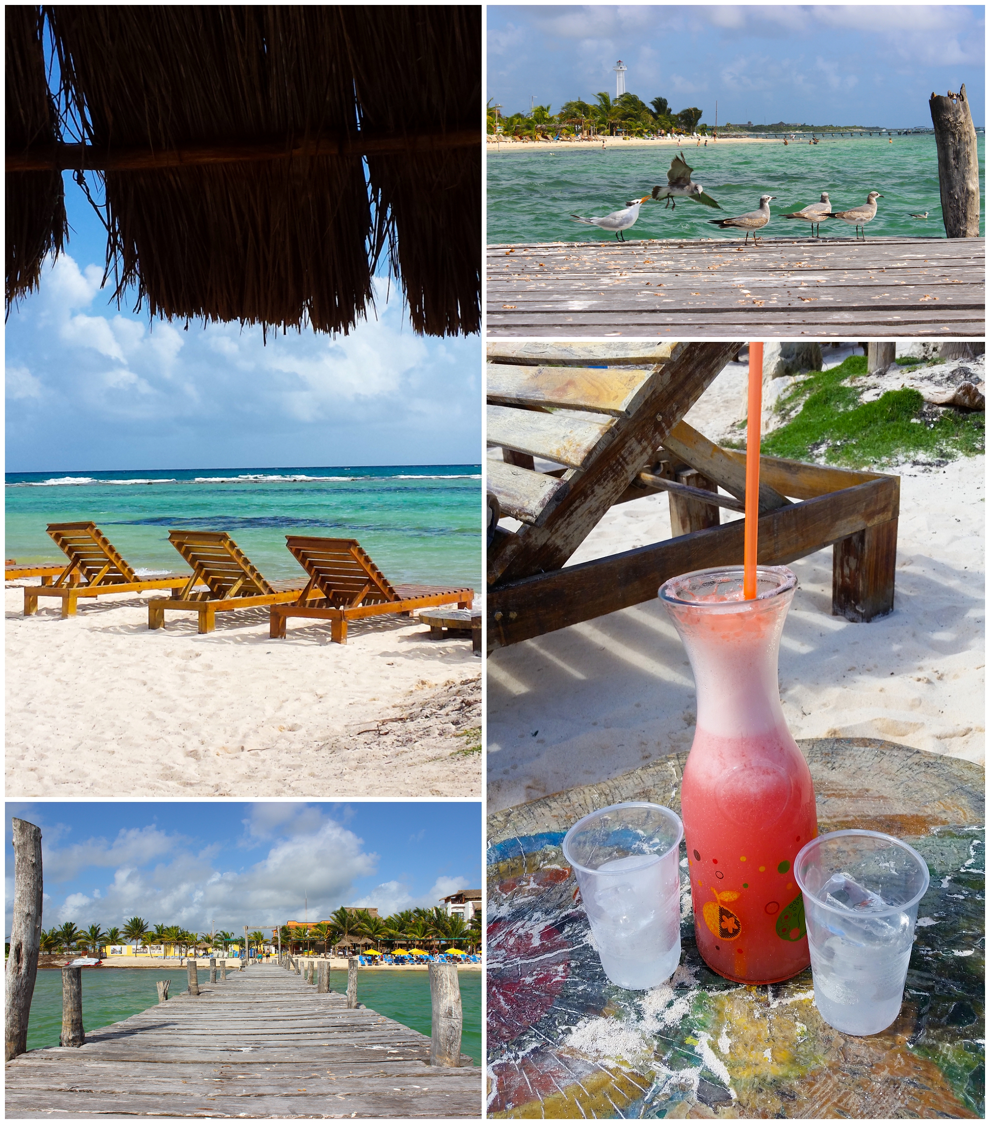 4Costa Maya, Mexico | Mariam Saifan Photography