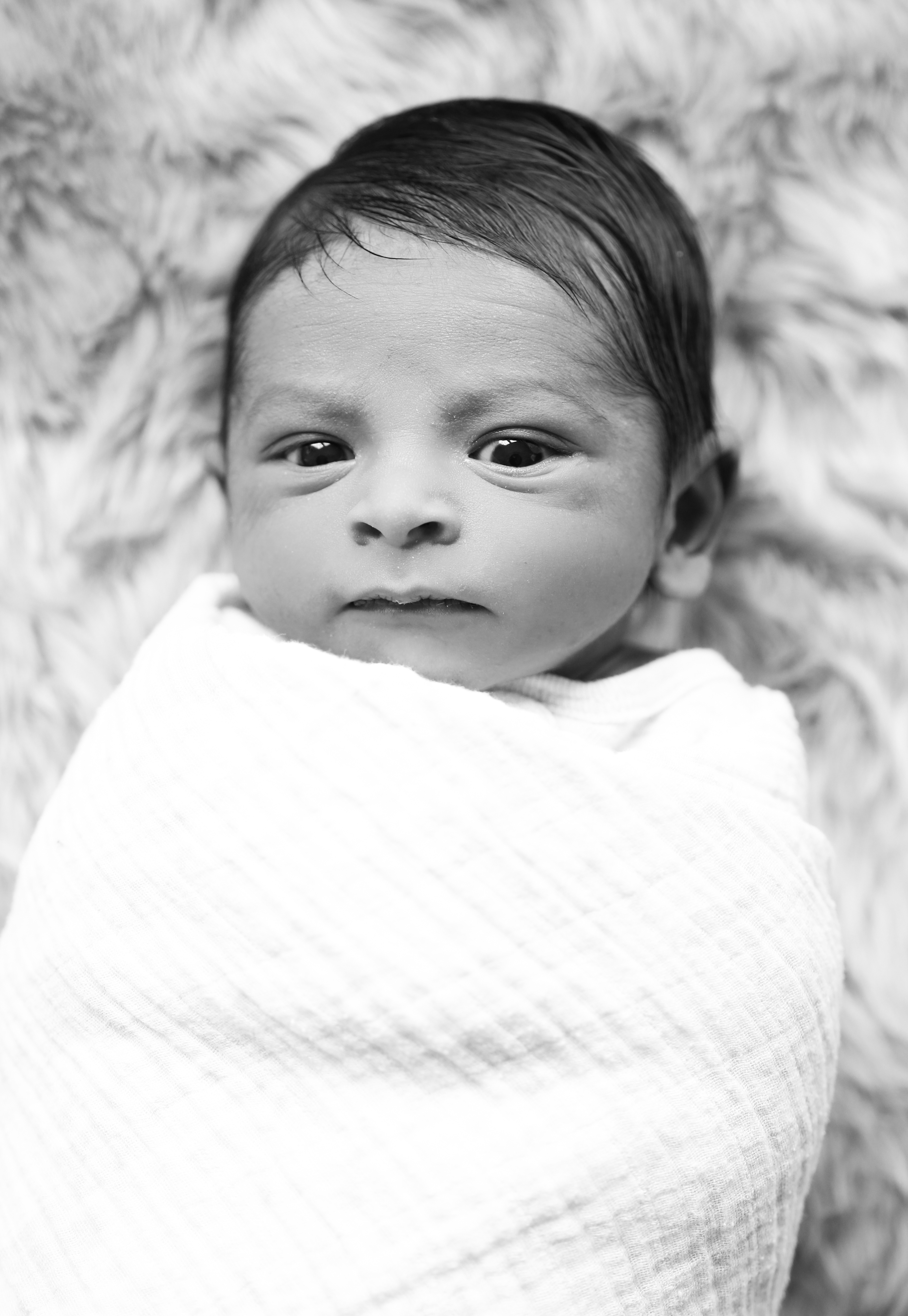 Overland Park Family Portraits - Lifestyle Photography - Newborn Photos Kansas City KS KC - Maternity 