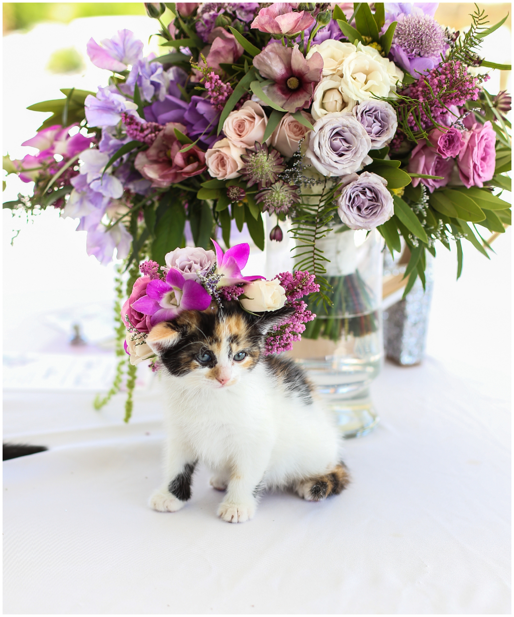 Wedding Day Timeline and Tips - Kansas City Wedding Photographer - Legacy at Green Hills - Mariam Saifan Photography - Best Wedding Photographer - Eighteen Ninety - 1890 Wedding Platte City Wedding - Adorable Kitten Cat at Wedding - Flower Crown - D and R Floral Design