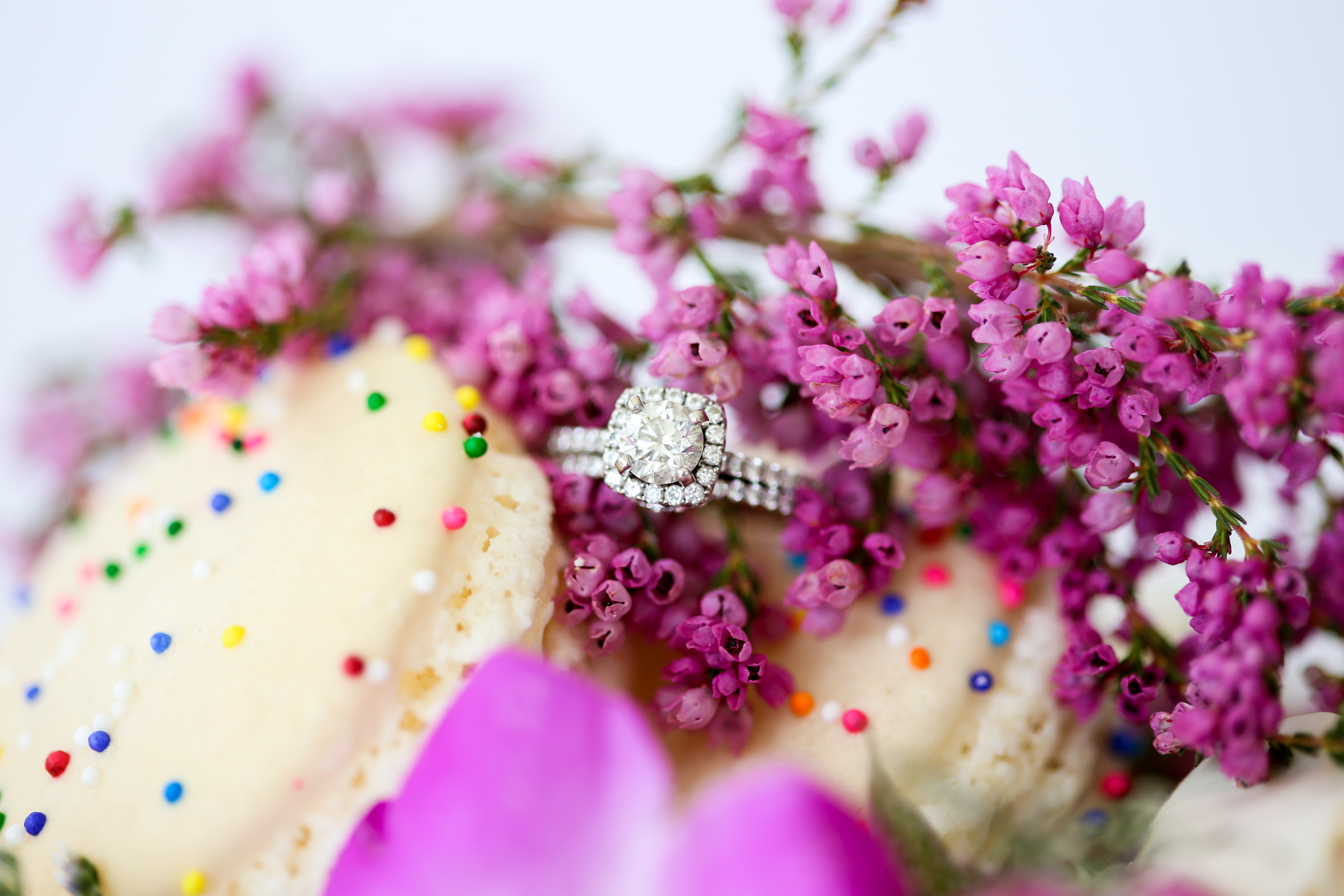 Ring on a macaroon - how to propose - tips for newly engaged couples - kansas city engagement photographer - wedding photographer overland park - mariam saifan photography - wedding planners