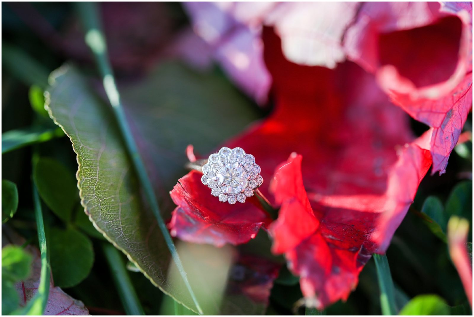 wedding ring - engagement ring - shane co kansas city overland park -Avery and Jack Engagement Session - Kansas City West Bottoms Engagement Portraits - KC Wedding Photographer - Olathe Lenexa Leawood Kansas Wedding Photography and Video  - Mariam Saifan Photography 