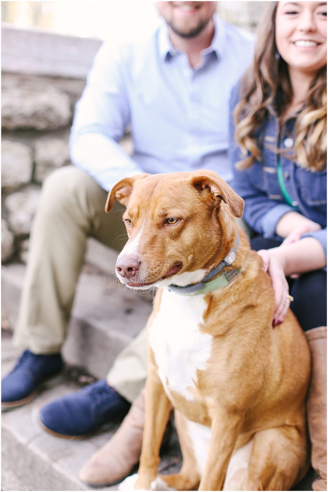 dog at engagement session