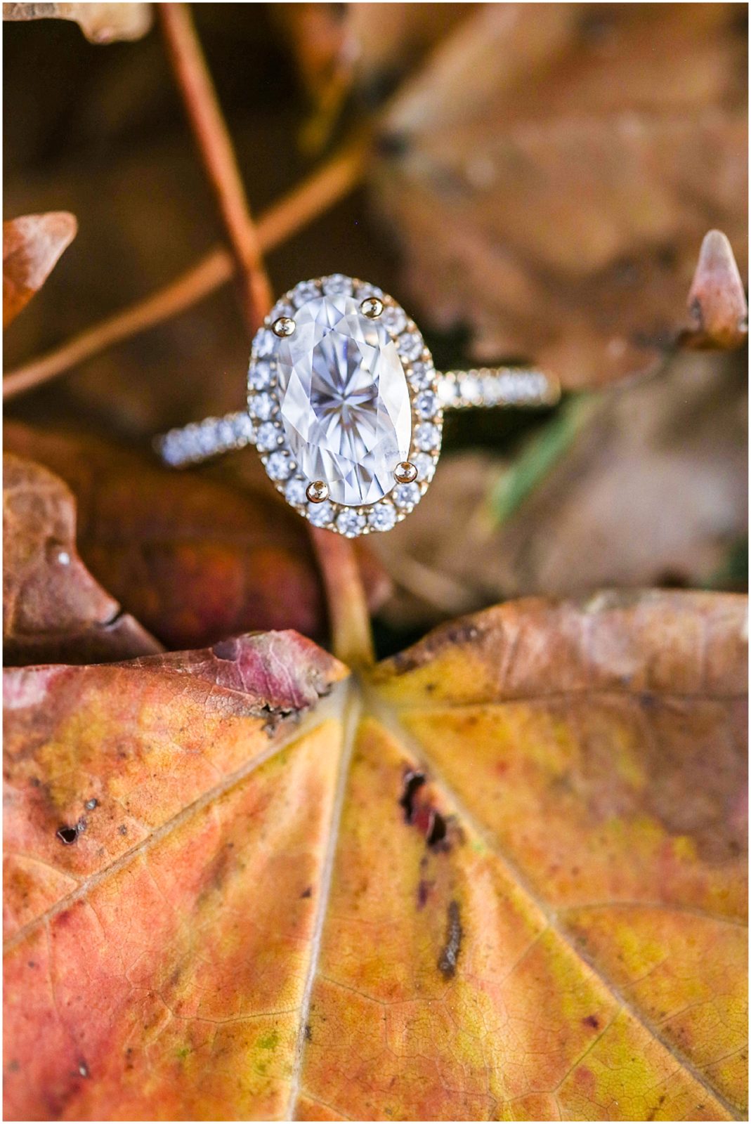 beautiful oval engagement ring - kansas city