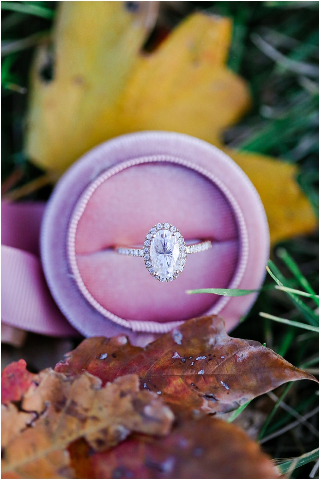gorgeous oval diamond engagement and wedding ring - kansas city engagement photographer 