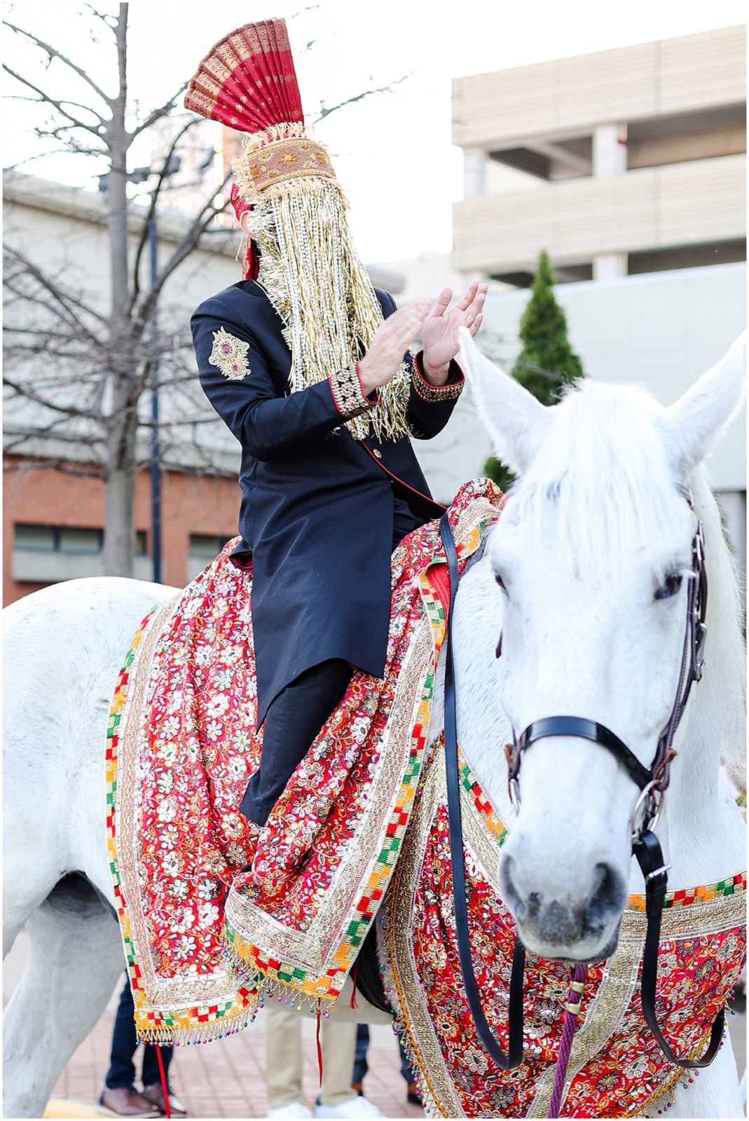 baraat - horse grand entry 