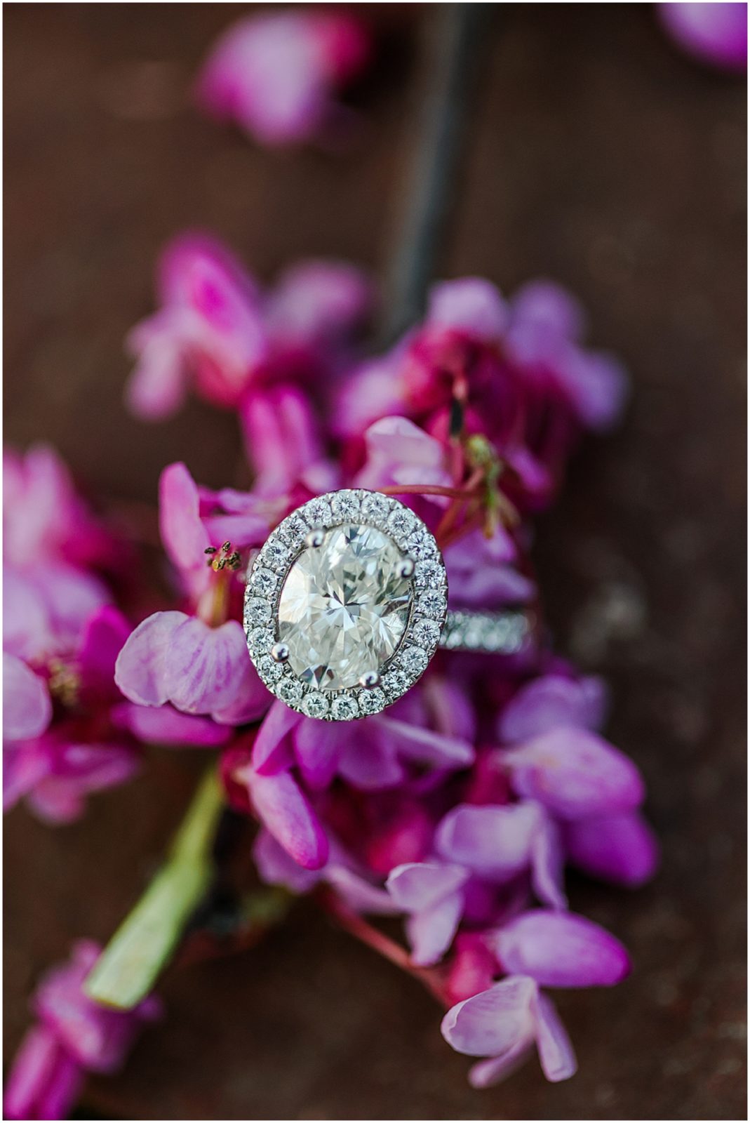 engagement ring - oval diamond ring