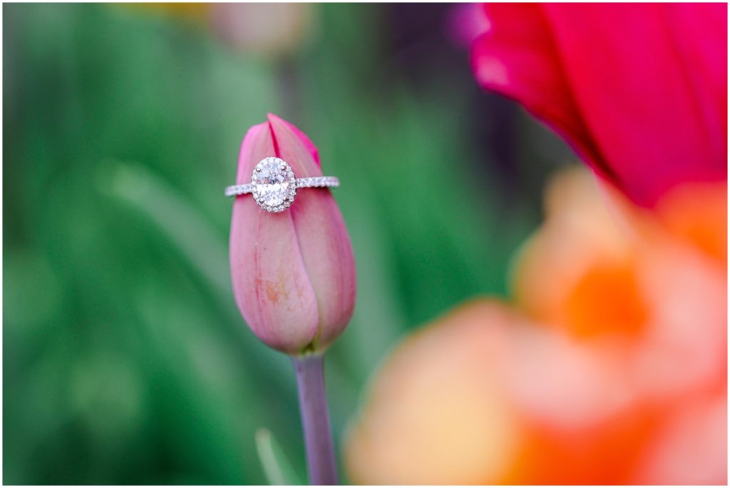 engagement ring on tulip flower