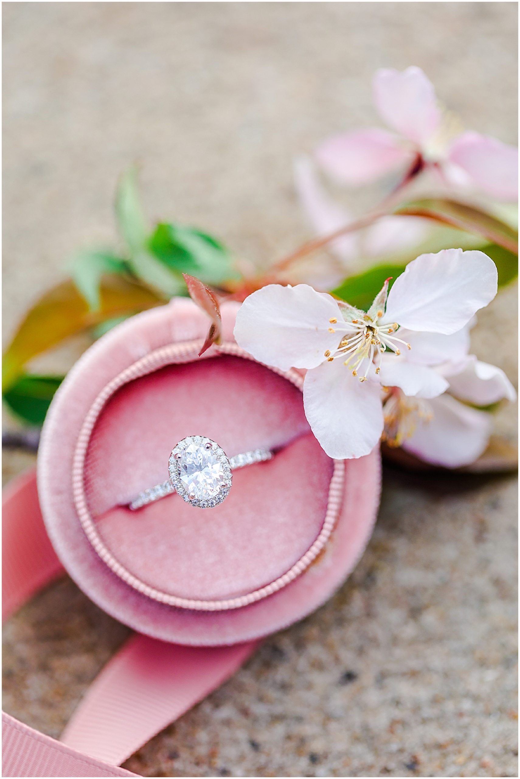 engagement ring with pink ring box - overland park wedding photographer