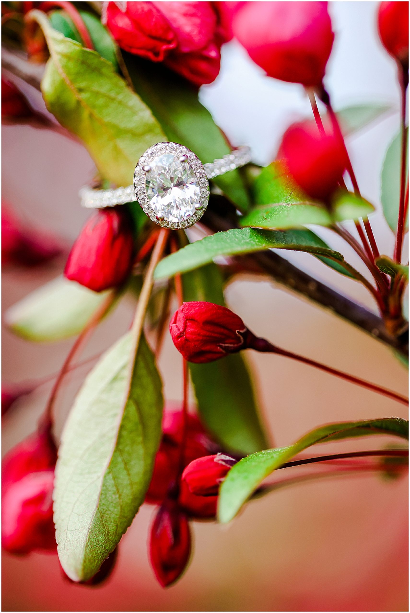 diamond engagement ring on red bud trees