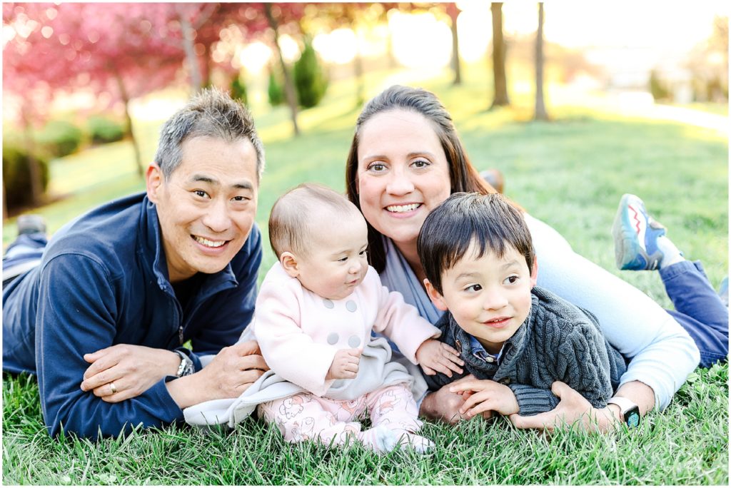 family photos laying on ground