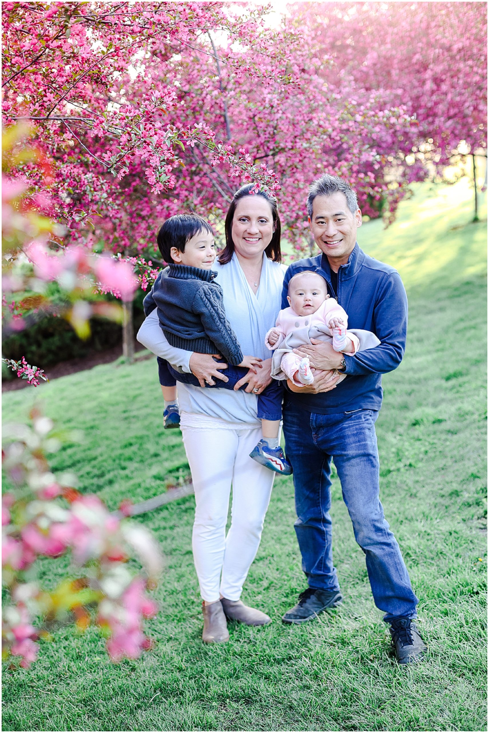 pink trees spring family photos
