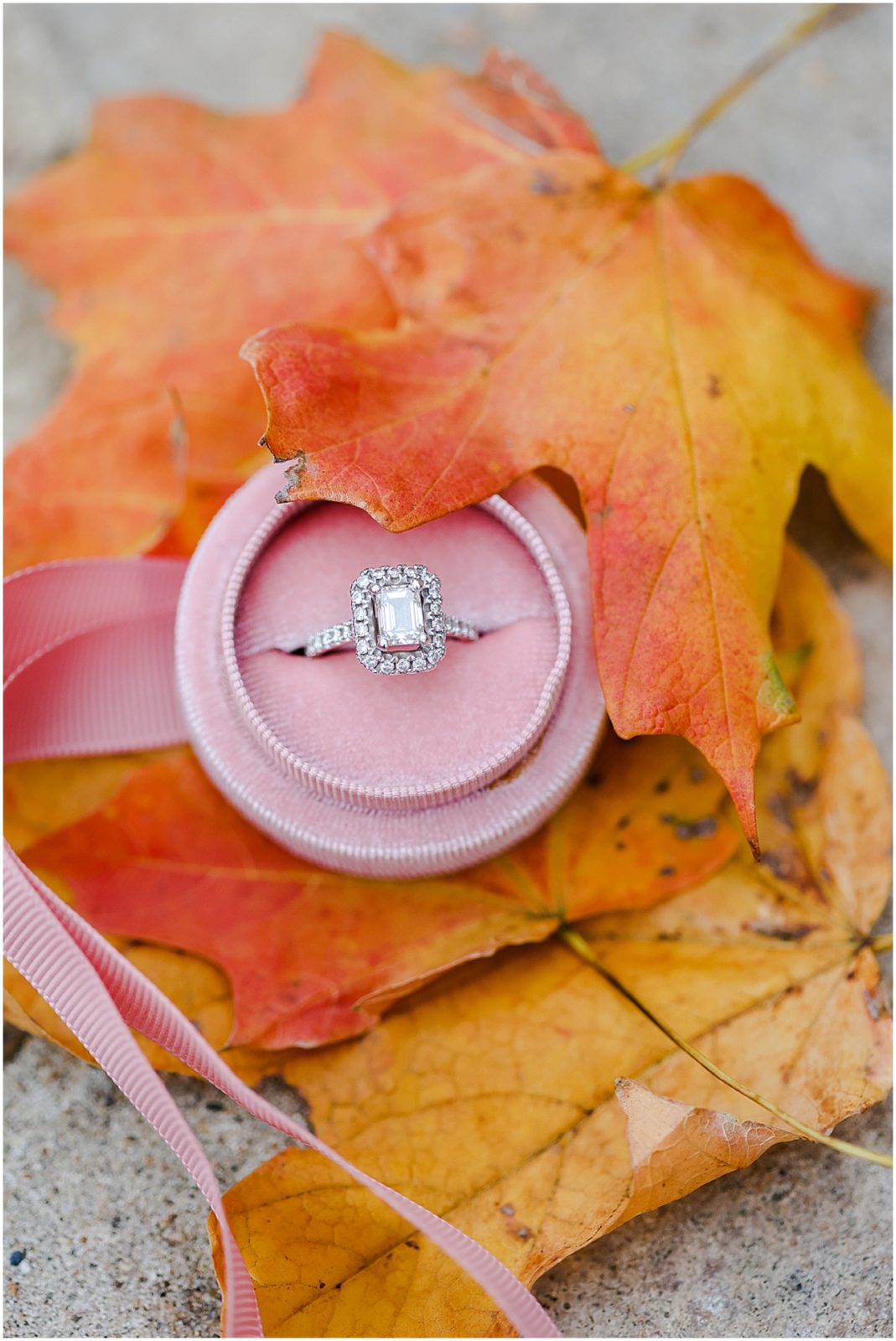 pretty engagement ring kansas city fall colors 