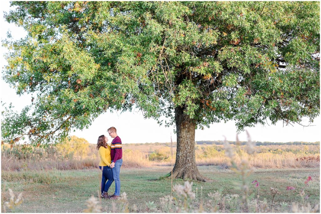 beautiful engagement photo under a large tree in olathe kansas