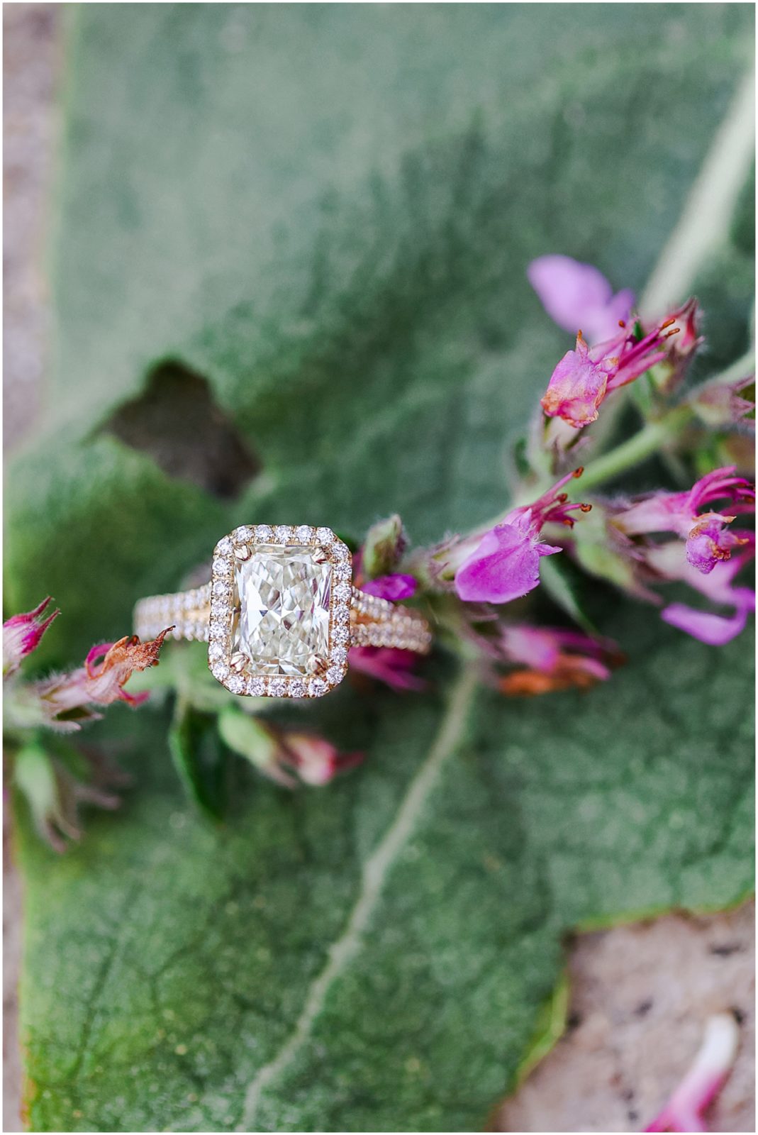 wedding ring - engagement ring - oakwood country club wedding photographer 