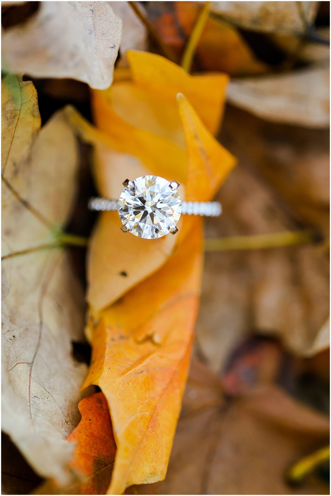 wedding ring in fall engagement 