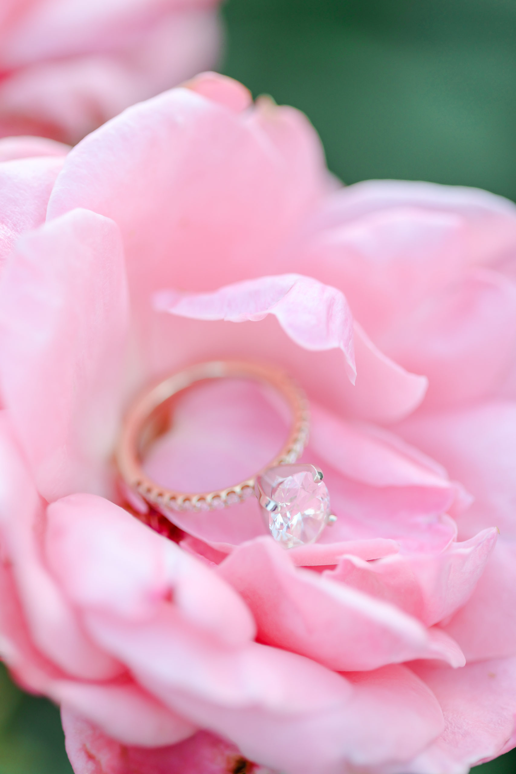 beautiful engagement ring on pink flower - Best Places in Kansas City for Wedding Photos - Loose Park KC - Engagement Photo Location Ideas - What to Wear Engagement Session - Loose Park Rose Garden - Best Photographer in Kansas City - Best Locations in KC to Take Photos - Black Wedding Photographer - Wedding Photographers in Kansas