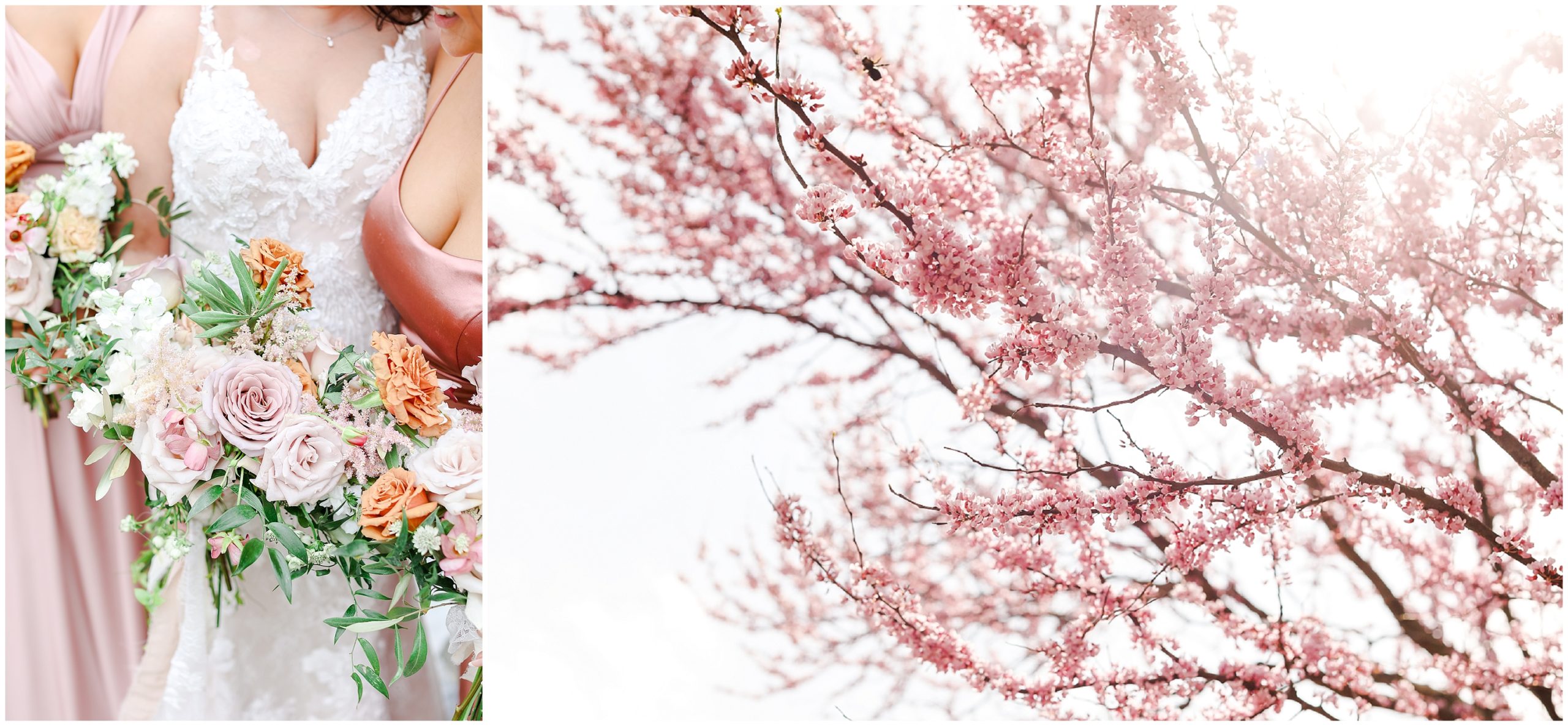 spring wedding at powell gardens