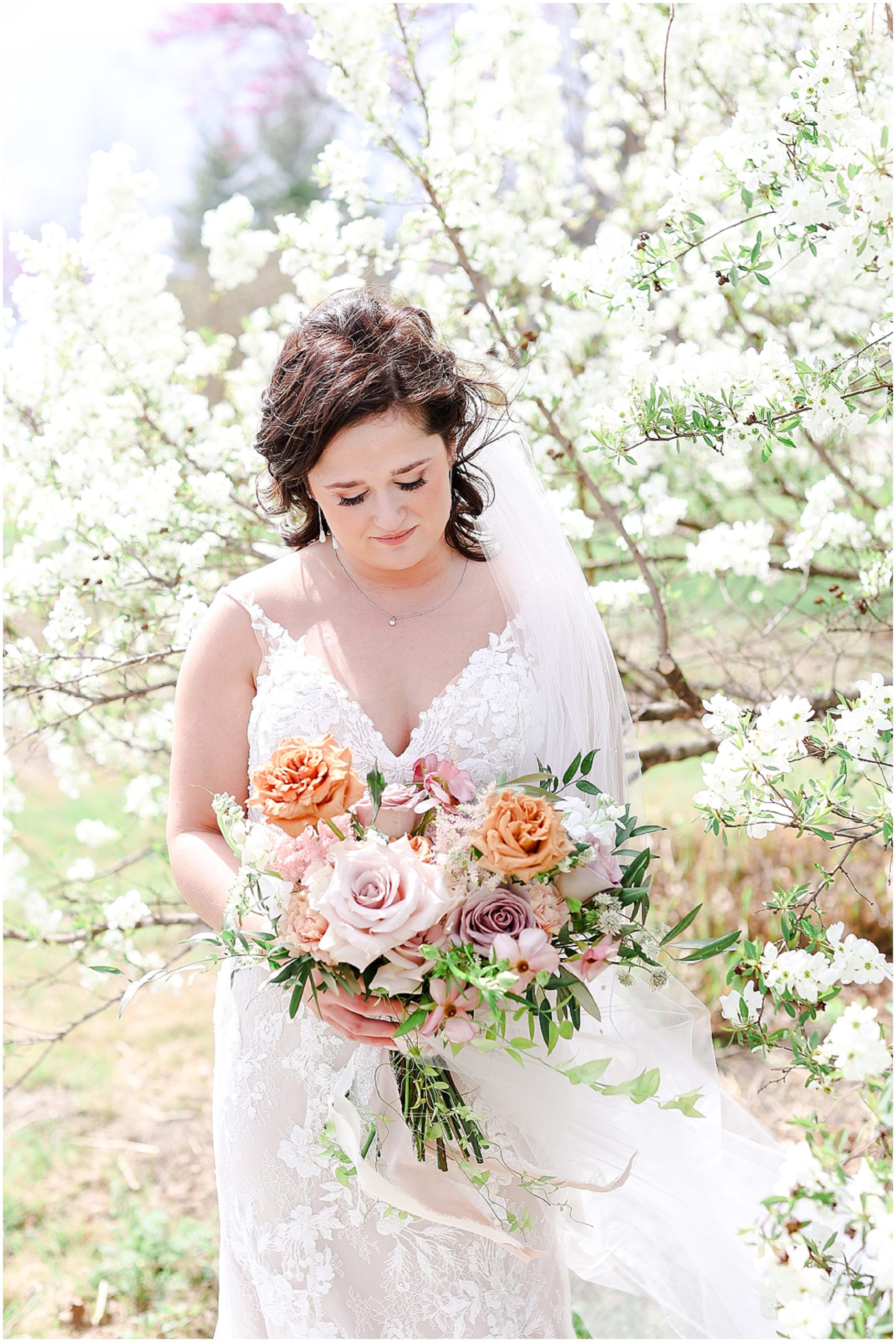 Powell Gardens Spring Wedding Haylie & Zac - Kansas City Missouri STL Wedding Photography 