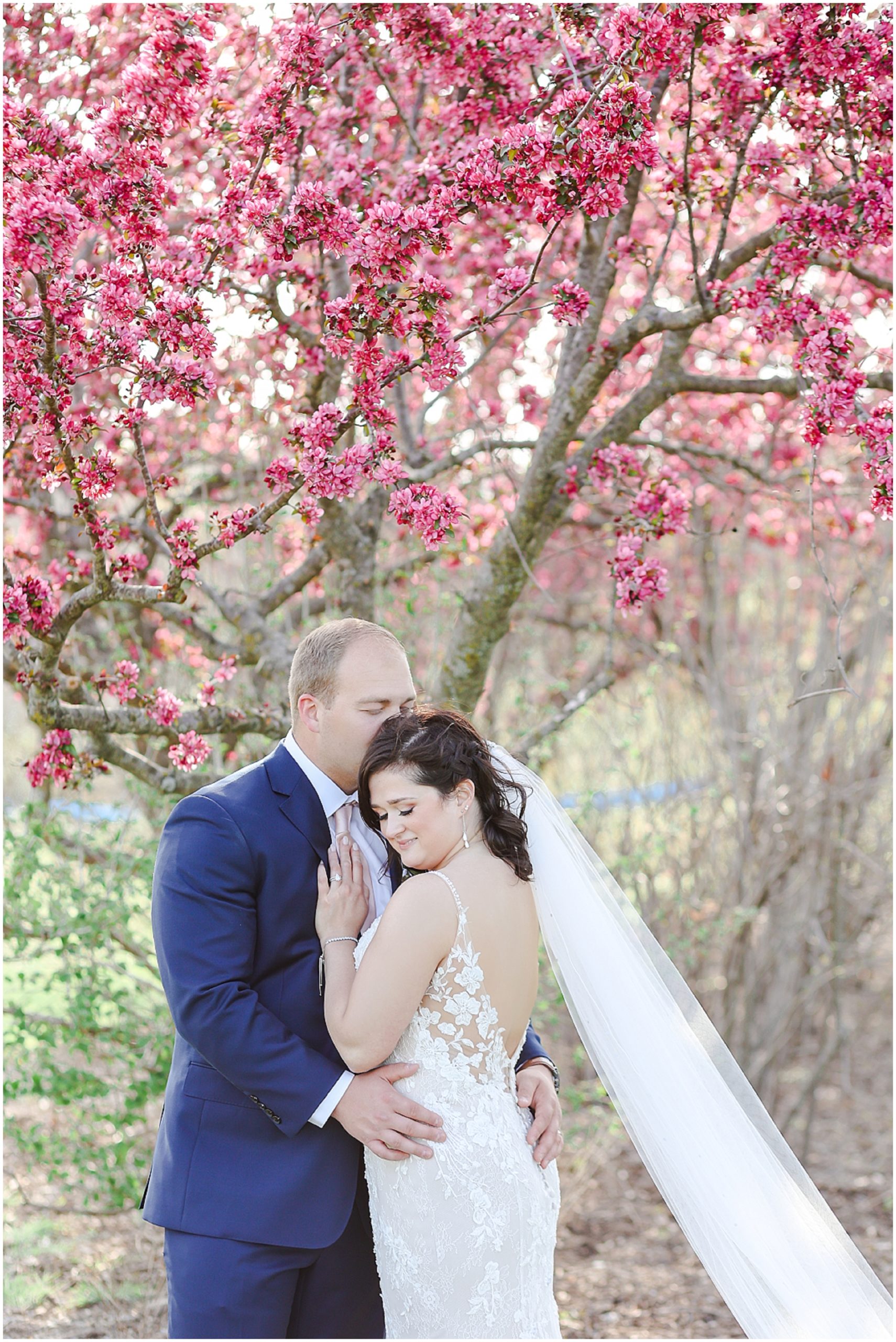 Powell Gardens Spring Wedding Haylie & Zac - Kansas City Missouri STL Wedding Photography  - pink wedding tree