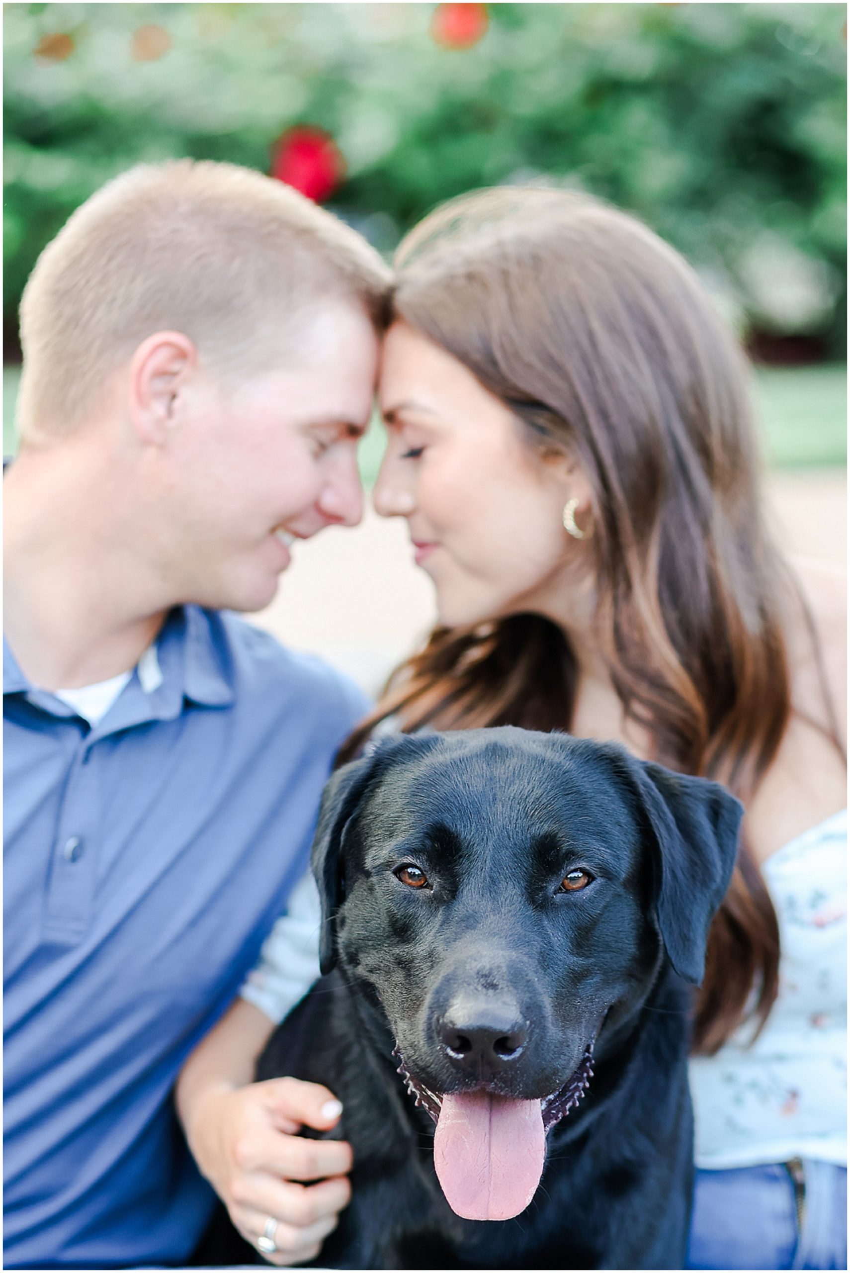 Where to take photos in Kansas City - Wedding and Engagement Photos Overland Park Kansas - Mariam Saifan Photography - Loose Park - Light and Airy Wedding Photographer - dog with engagement photos - puppy