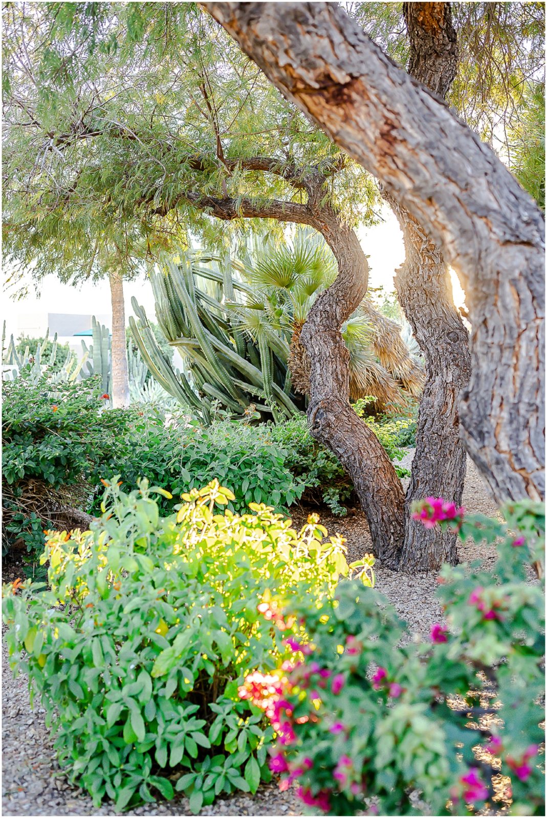 Wedding Photographer in Scottsdale Arizona | Wedding Photography in Phoenix Arizona | Elopement Wedding Photographer in Sedona Arizona | Kansas City Wedding Photographer Mariam Saifan Photography | Where to get married in Arizona | Wedding Venues in Arizona | Scottsdale Wedding Venues | Paradise Valley | JW Marriott | Ritz Carlton | Desert Botanical Garden Engagement Photos | Omni Scottsdale Wedding Photographer