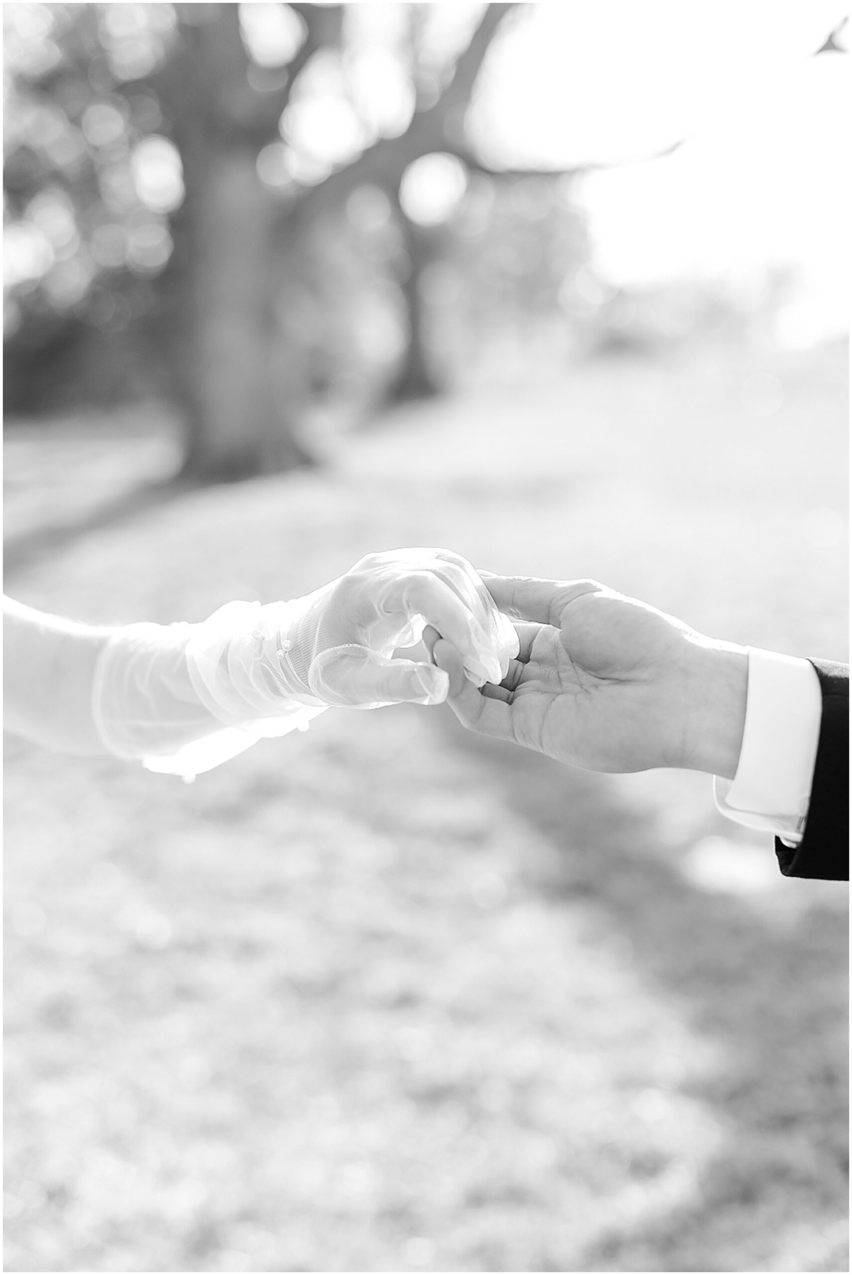 Holdings Hands | Artistic Wedding Photos