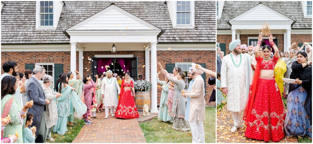 indian wedding dholi