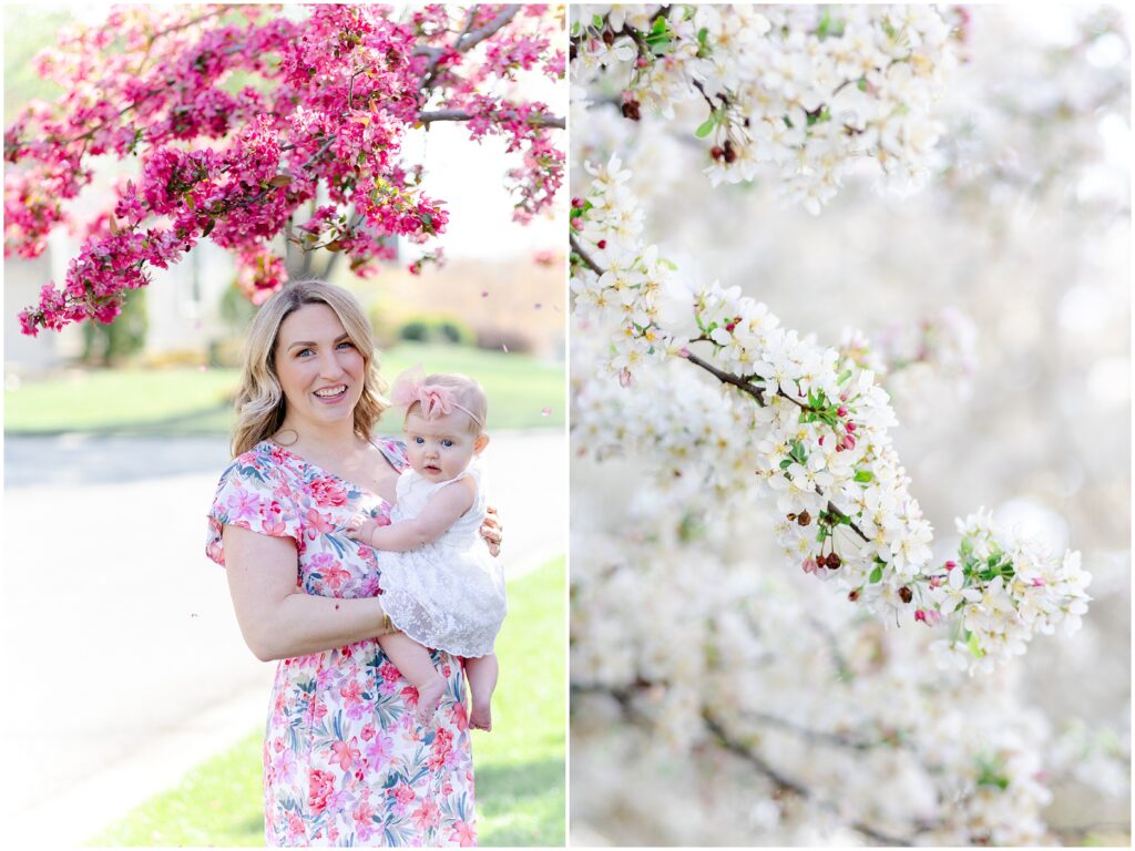 spring mini sessions 